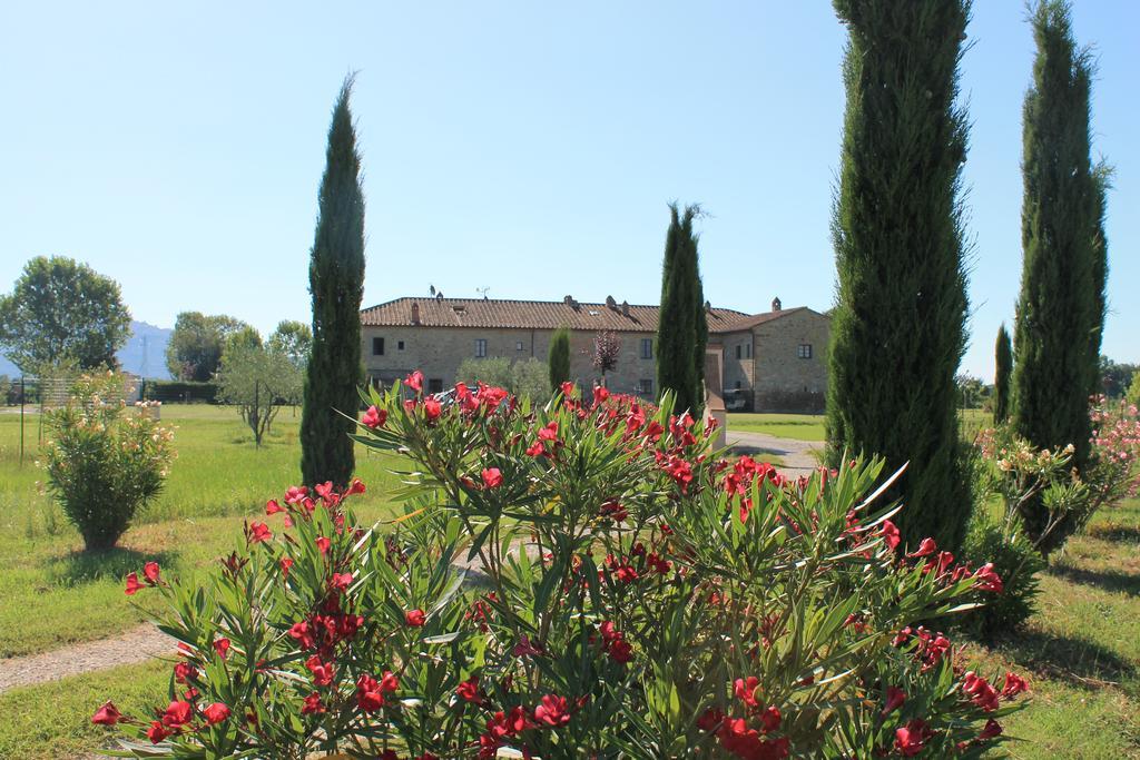 Il Grifone A Cortona Residence 外观 照片