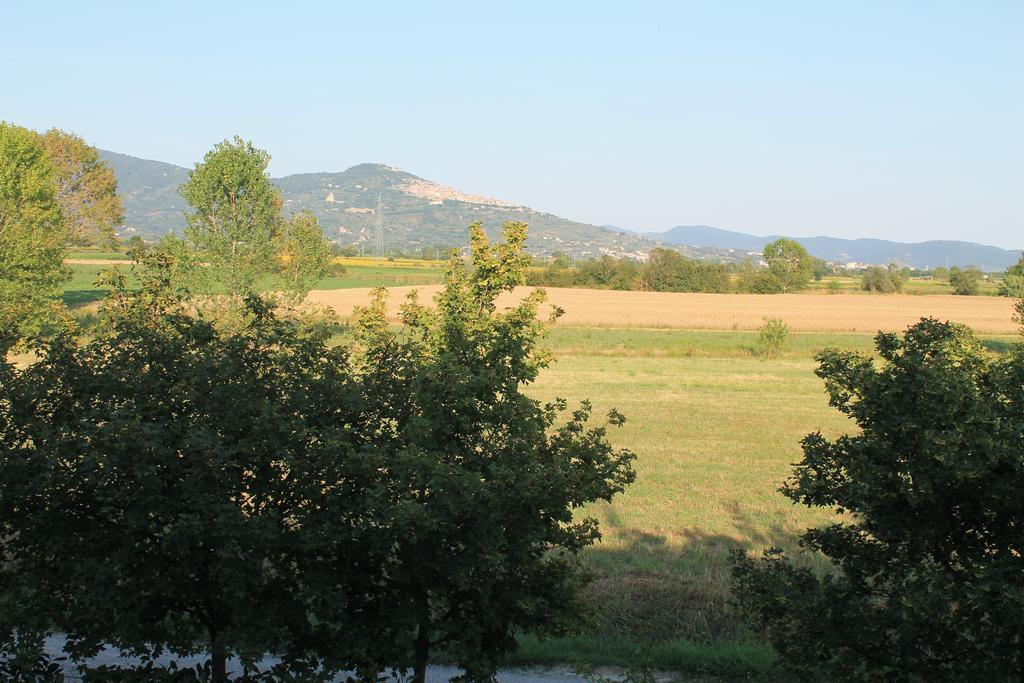 Il Grifone A Cortona Residence 外观 照片