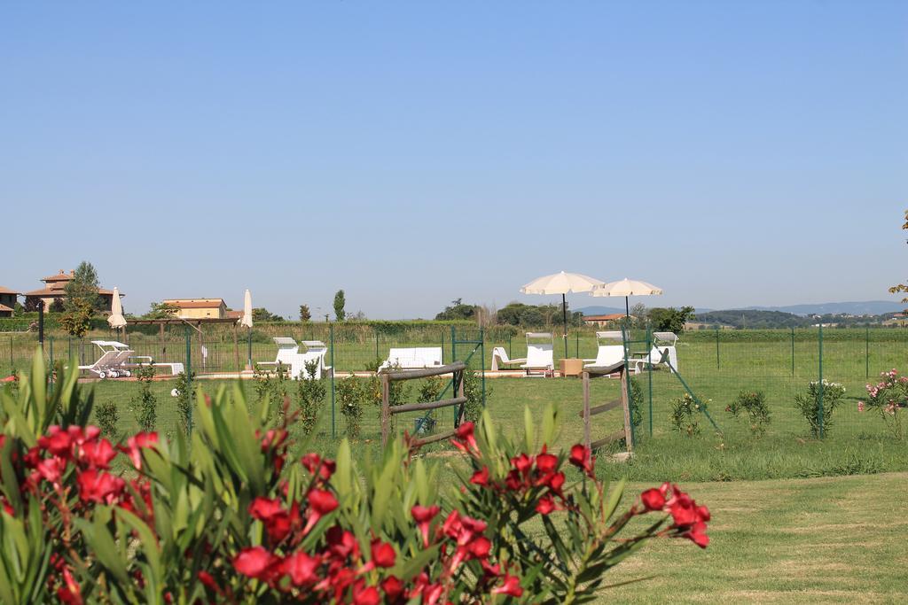Il Grifone A Cortona Residence 外观 照片