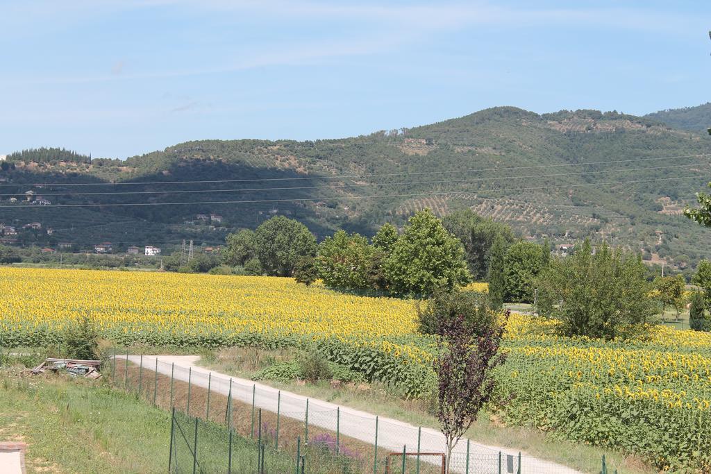 Il Grifone A Cortona Residence 外观 照片