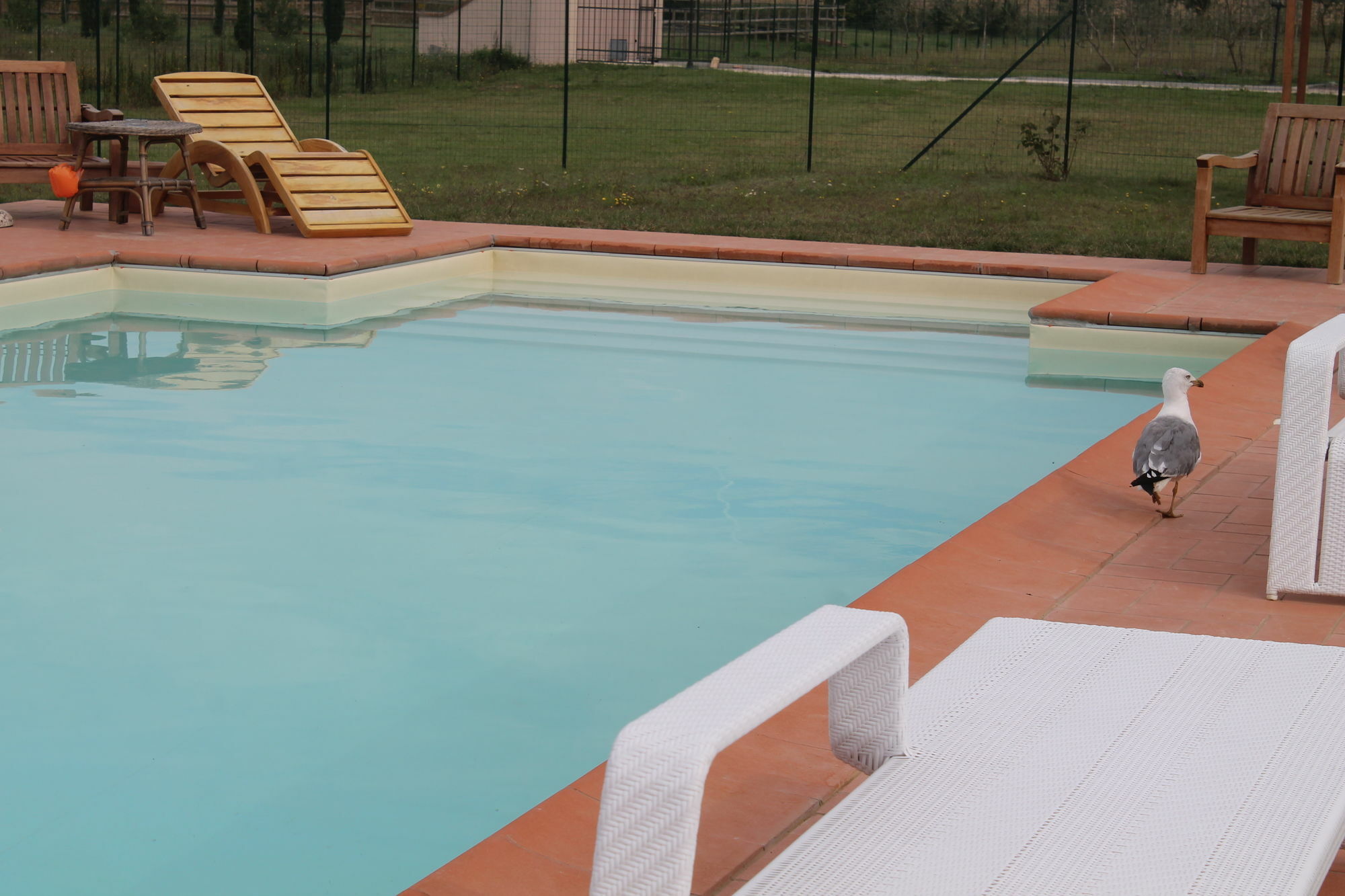Il Grifone A Cortona Residence 外观 照片