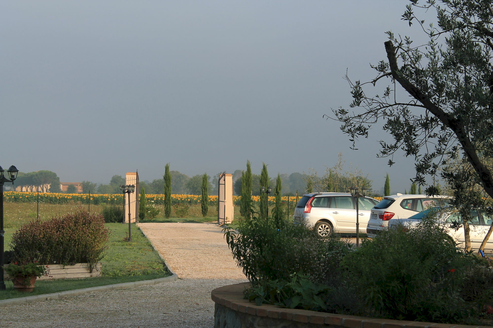 Il Grifone A Cortona Residence 外观 照片